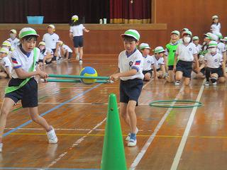IMG_6782.jpg