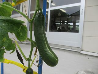 IMG_9594.jpg