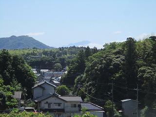 IMG_6849.jpg