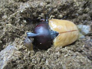 IMG_8581.jpg