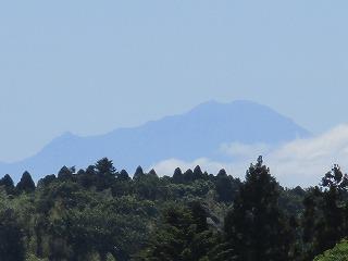 IMG_6851.jpg