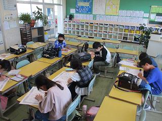 IMG_6916.jpg