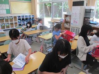 IMG_6945.jpg