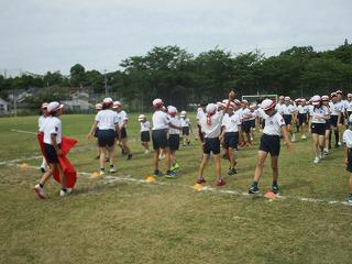 IMG_6985.jpg