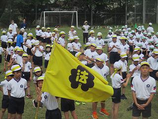 IMG_6991.jpg