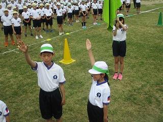 IMG_7015.jpg