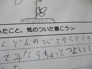 IMG_7157.jpg