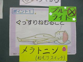 IMG_9315.jpg