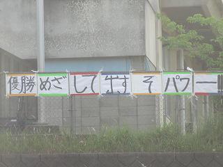 IMG_7195.jpg