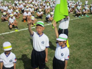 IMG_7222.jpg