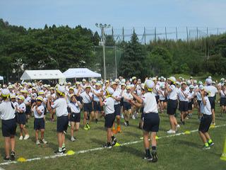 IMG_7226.jpg