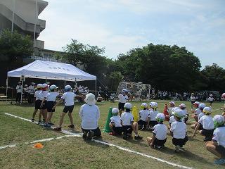IMG_7263.jpg