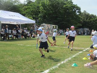 IMG_7264.jpg