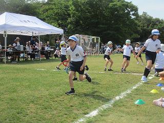 IMG_7265.jpg