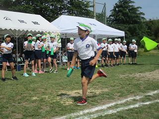 IMG_7271.jpg