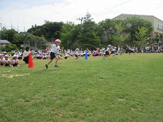 IMG_7279.jpg