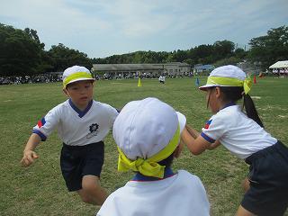 IMG_7282.jpg