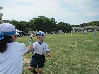 IMG_7287.jpg