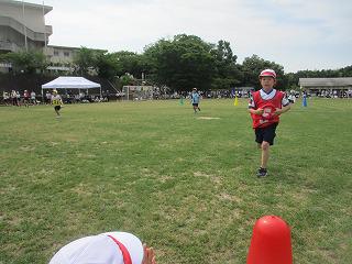 IMG_7292.jpg