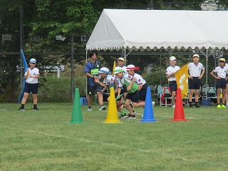 IMG_7310.jpg