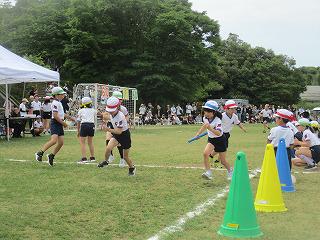 IMG_7312.jpg