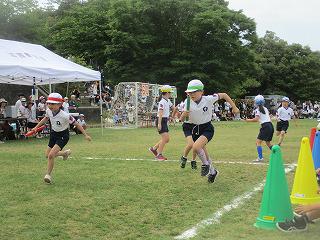 IMG_7313.jpg