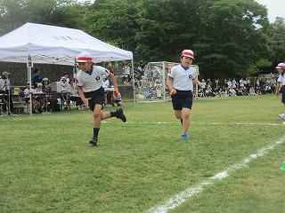 IMG_7315.jpg