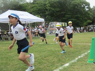 IMG_7317.jpg