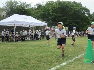 IMG_7318.jpg
