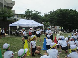 IMG_7325.jpg