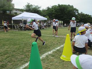 IMG_7328.jpg