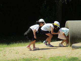 IMG_8049.jpg