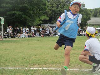 IMG_7332.jpg