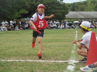 IMG_7334.jpg