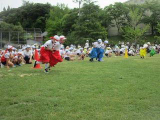 IMG_7341.jpg
