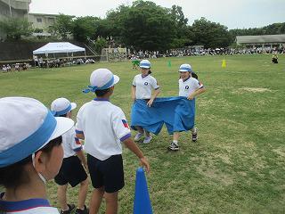 IMG_7343.jpg
