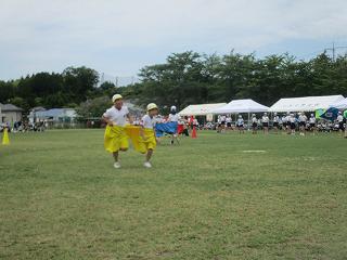 IMG_7347.jpg