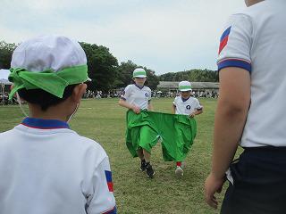 IMG_7349.jpg