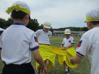 IMG_7350.jpg