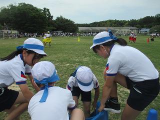 IMG_7351.jpg