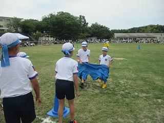 IMG_7355.jpg