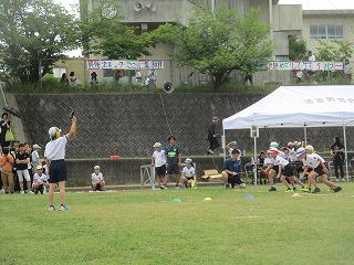 IMG_7365.jpg