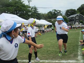 IMG_7371.jpg