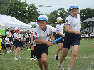 IMG_7373.jpg