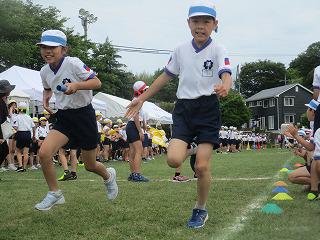 IMG_7375.jpg
