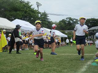 IMG_7376.jpg