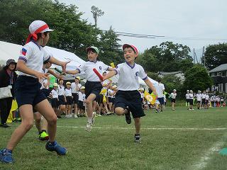 IMG_7377.jpg