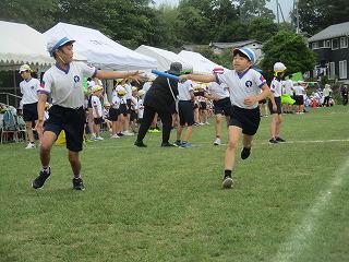 IMG_7378.jpg