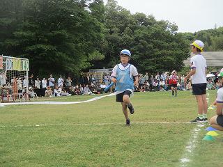 IMG_7381.jpg