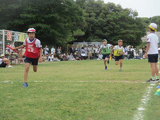 IMG_7382.jpg